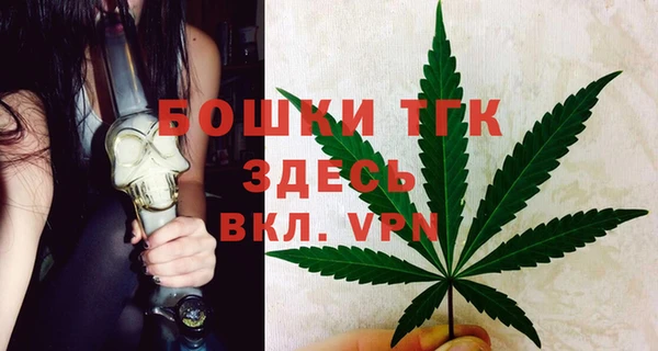 стаф Дмитриев