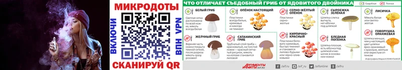 Галлюциногенные грибы Psilocybe Волоколамск