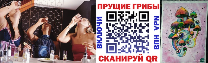 Галлюциногенные грибы ЛСД где купить наркоту Волоколамск